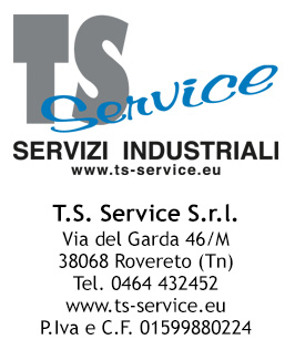 ts-service